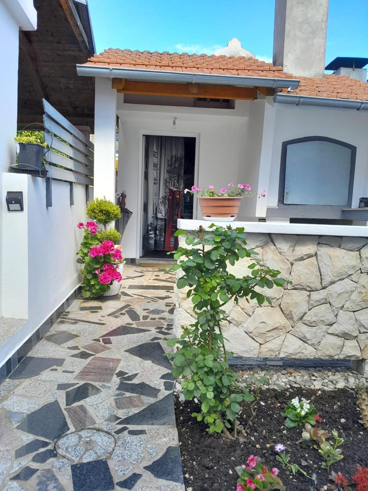Apartment Sime Bibinje Zewnętrze zdjęcie